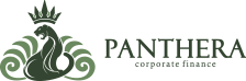 Panthera - Corporate Finance Beratung